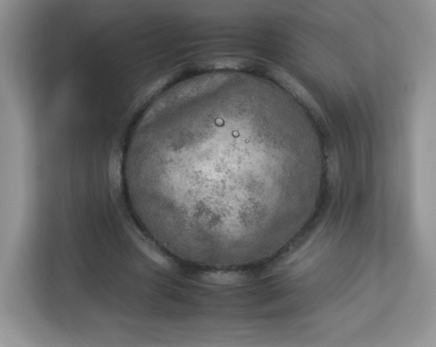 X0000113310537200909281126