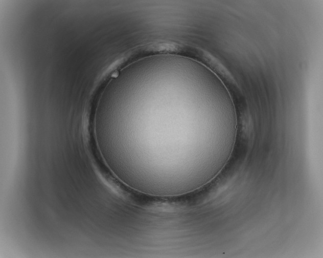 X0000113310538200909281126