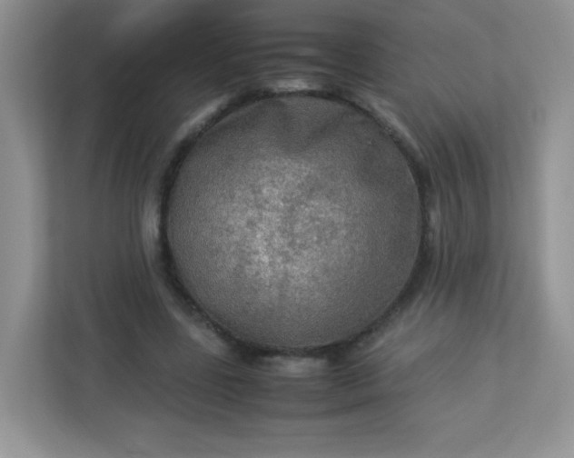 X0000113310539200909281126