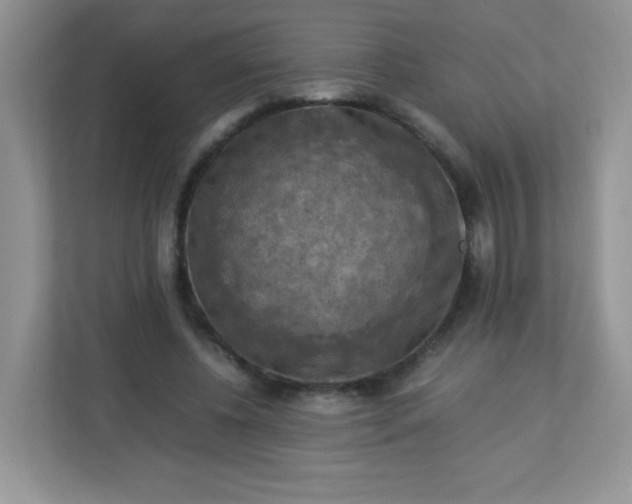 X0000113310540200909281126