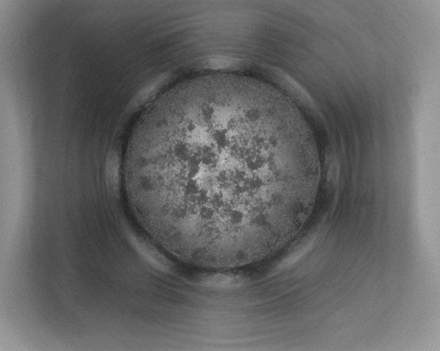 X0000113310542200909281126