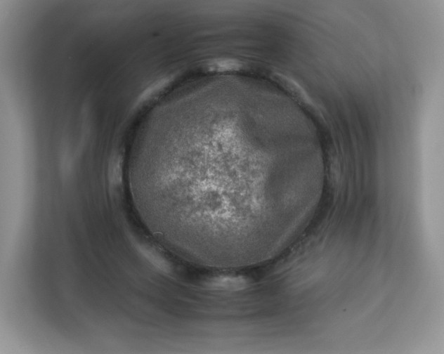 X0000113310543200909281126