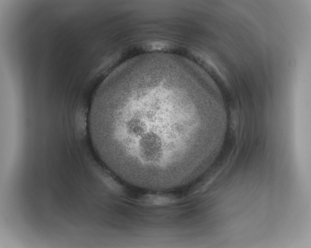 X0000113310545200909281126