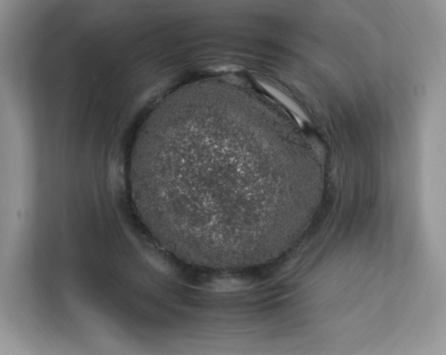 X0000113310547200909281126