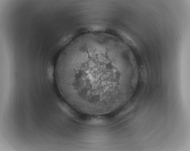 X0000113310550200909281126