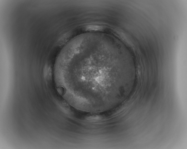 X0000113310551200909281126