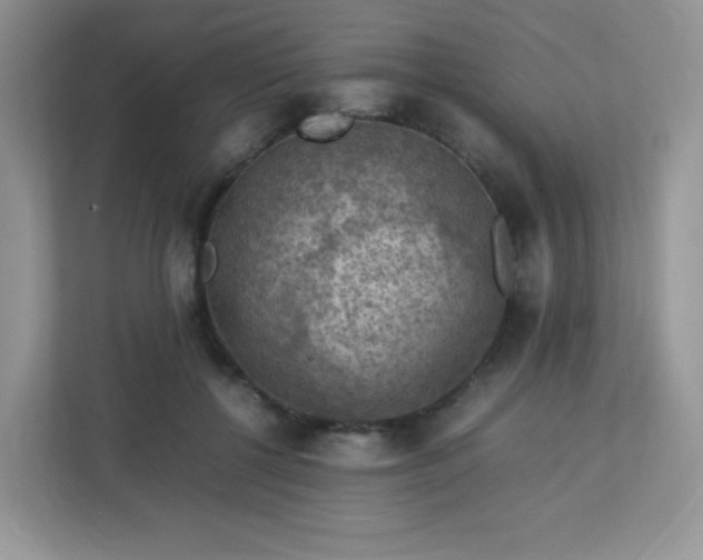 X0000113310552200909281126