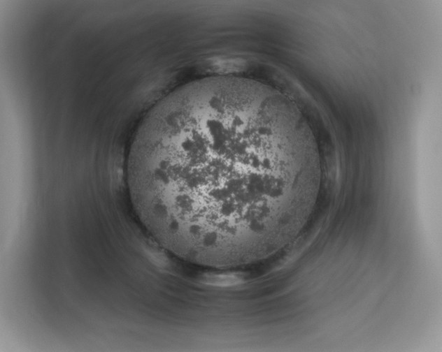 X0000113310553200909281127