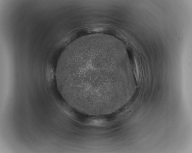 X0000113310555200909281127