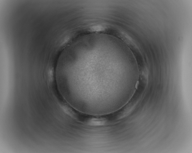 X0000113310556200909281127