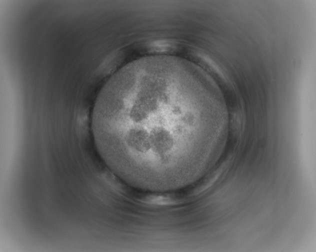 X0000113310557200909281127