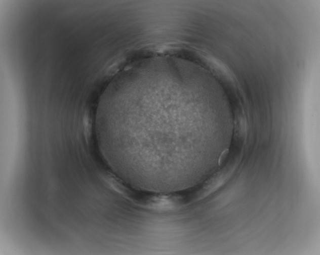 X0000113310558200909281127