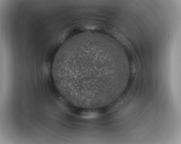 X0000113310559200909281127