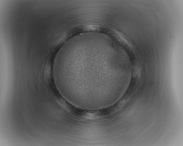 X0000113310560200909281127