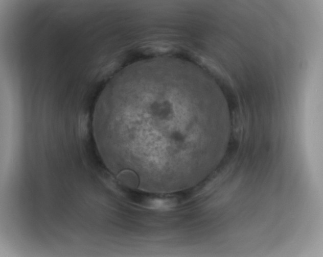 X0000113310563200909281127