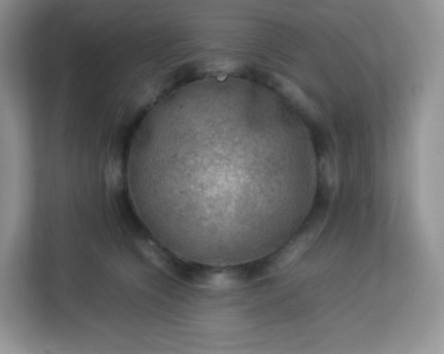 X0000113310564200909281127