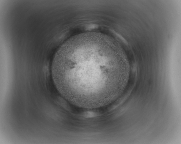 X0000113310565200909281127