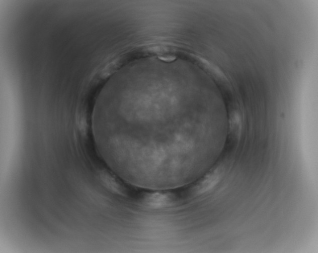 X0000113310566200909281127