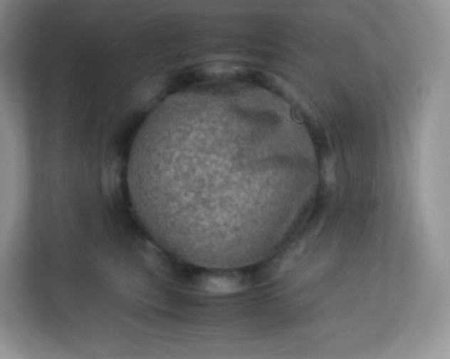 X0000113310567200909281127