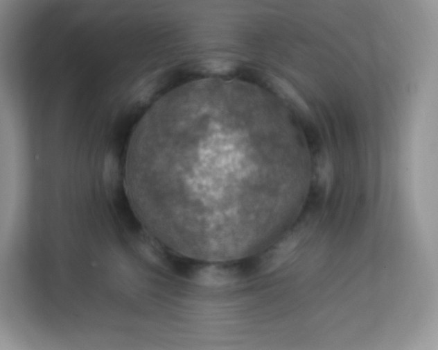 X0000113310568200909281127