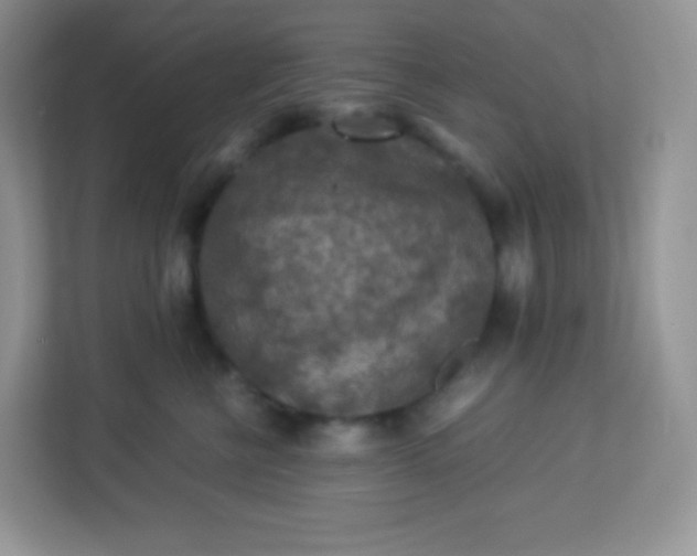 X0000113310570200909281127