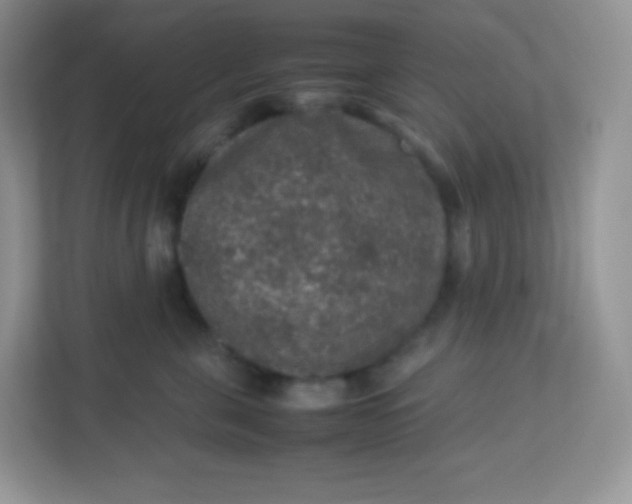 X0000113310571200909281127