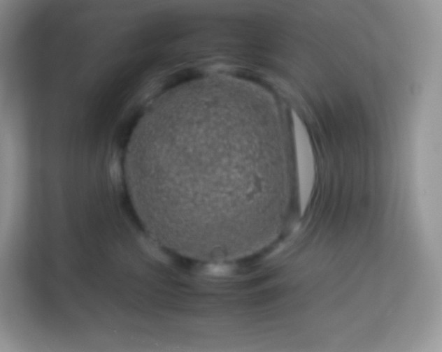 X0000113310573200909281127