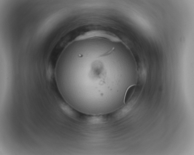 X0000113310574200909281127