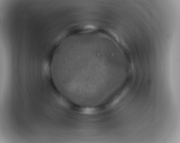 X0000113310575200909281127