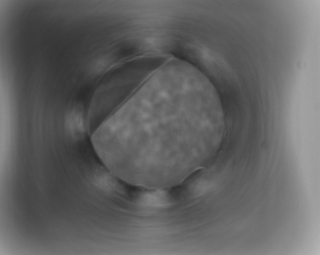 X0000113310576200909281127