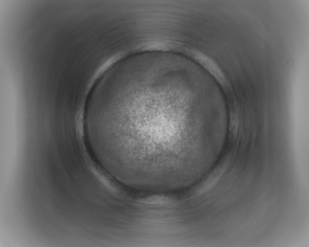 X0000113310578200909281126