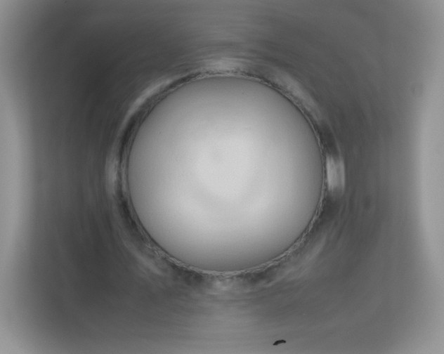 X0000113310579200909281126