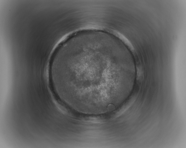 X0000113310580200909281126