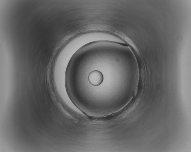 X0000113310581200909281126