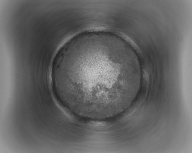 X0000113310582200909281126