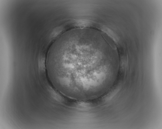 X0000113310585200909281126