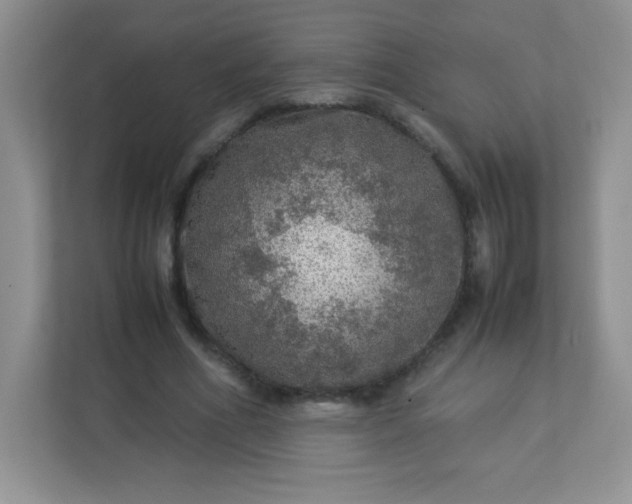 X0000113310586200909281126