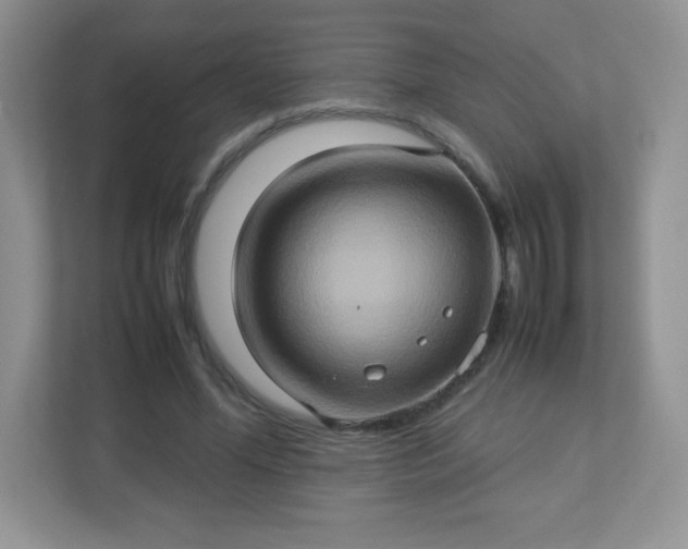 X0000113310588200909281126