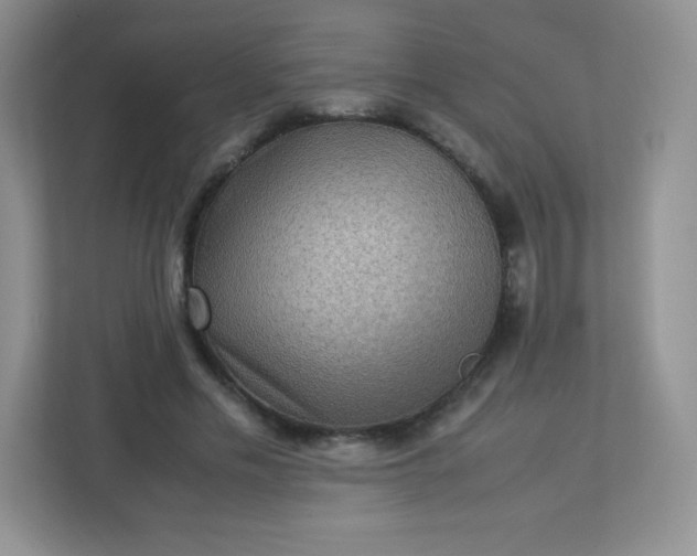 X0000113310589200909281126