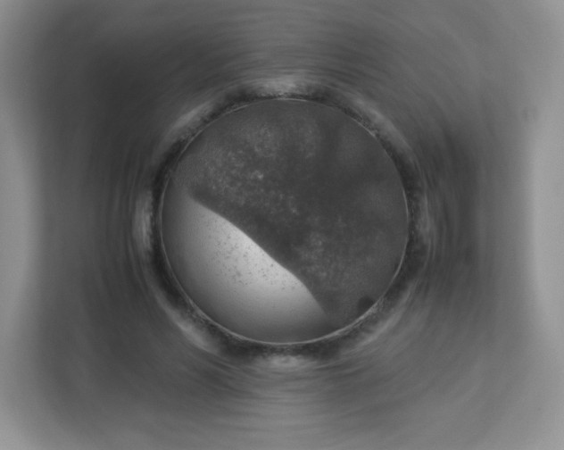 X0000113310590200909281126