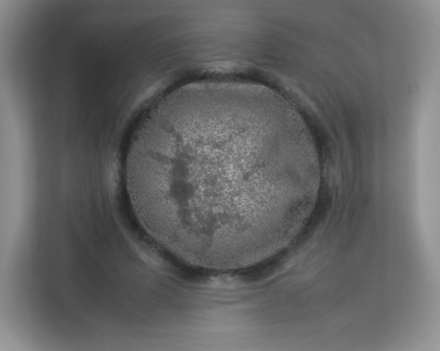 X0000113310591200909281126