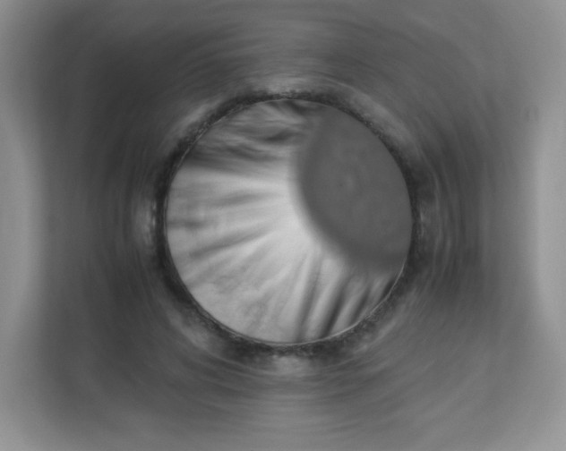 X0000113310592200909281126