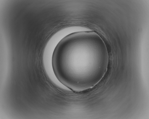 X0000113310593200909281126