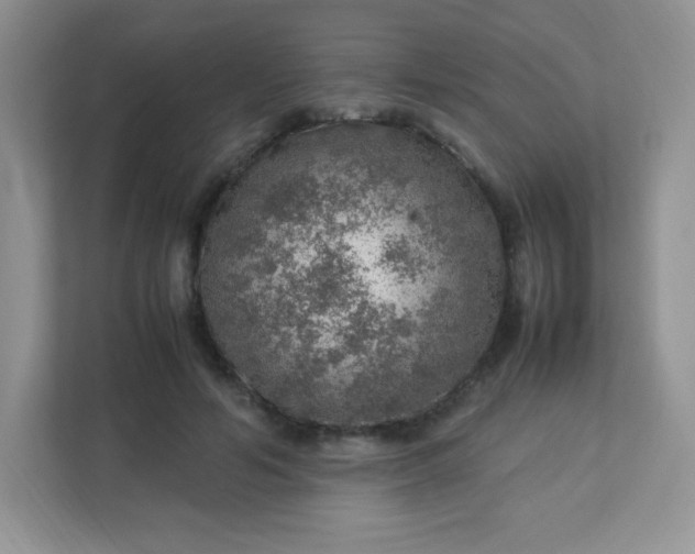 X0000113310594200909281126