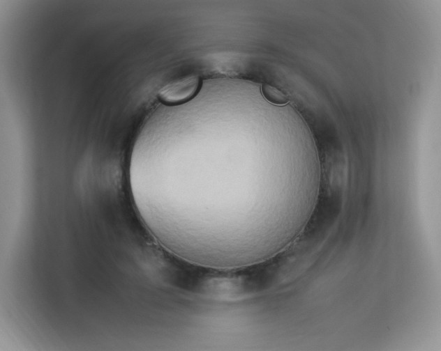 X0000113310595200909281126