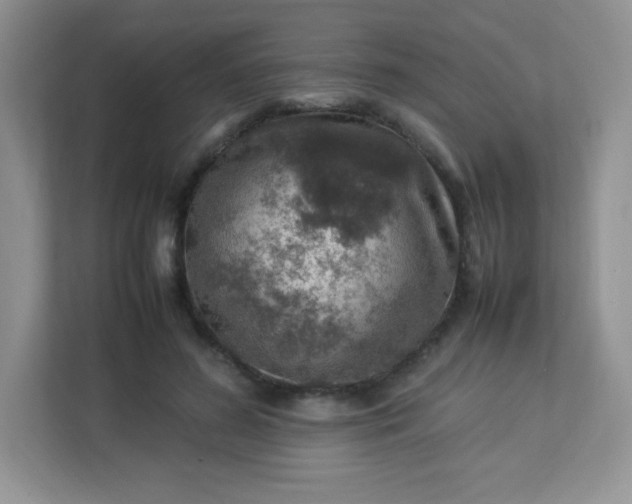 X0000113310596200909281126