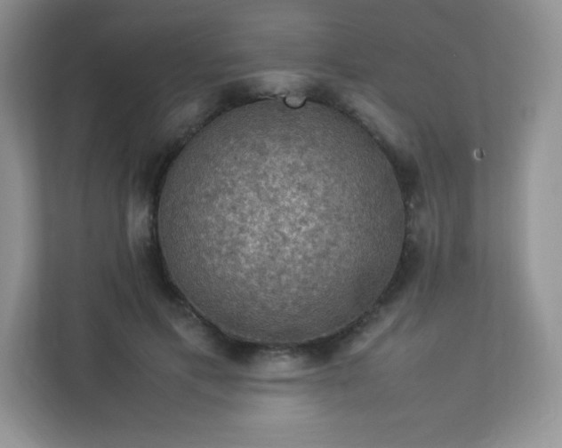 X0000113310597200909281126