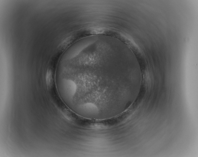 X0000113310598200909281126