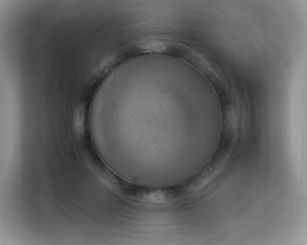 X0000113310600200909281126