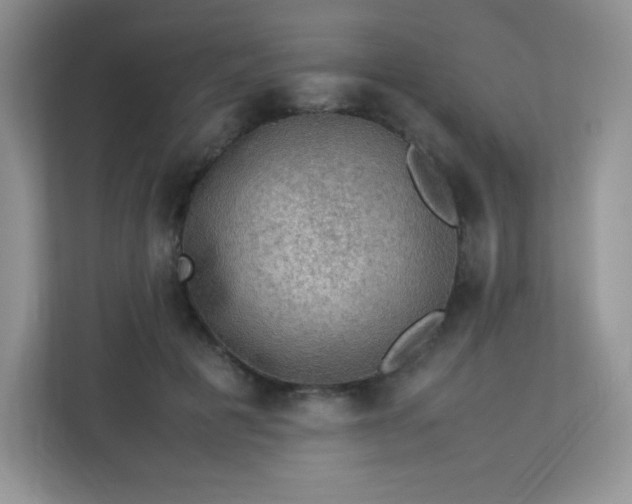 X0000113310601200909281126